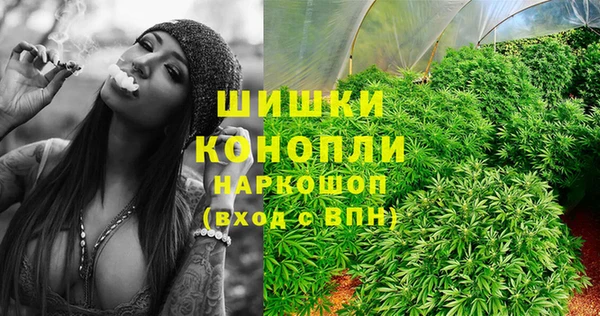 трава Бородино