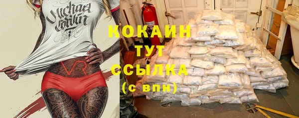 трава Бородино