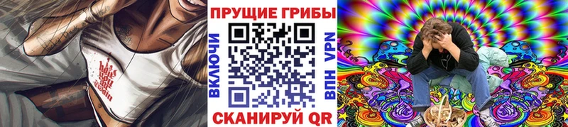 Купить закладки  Мыски  Псилоцибиновые грибы Psilocybe 